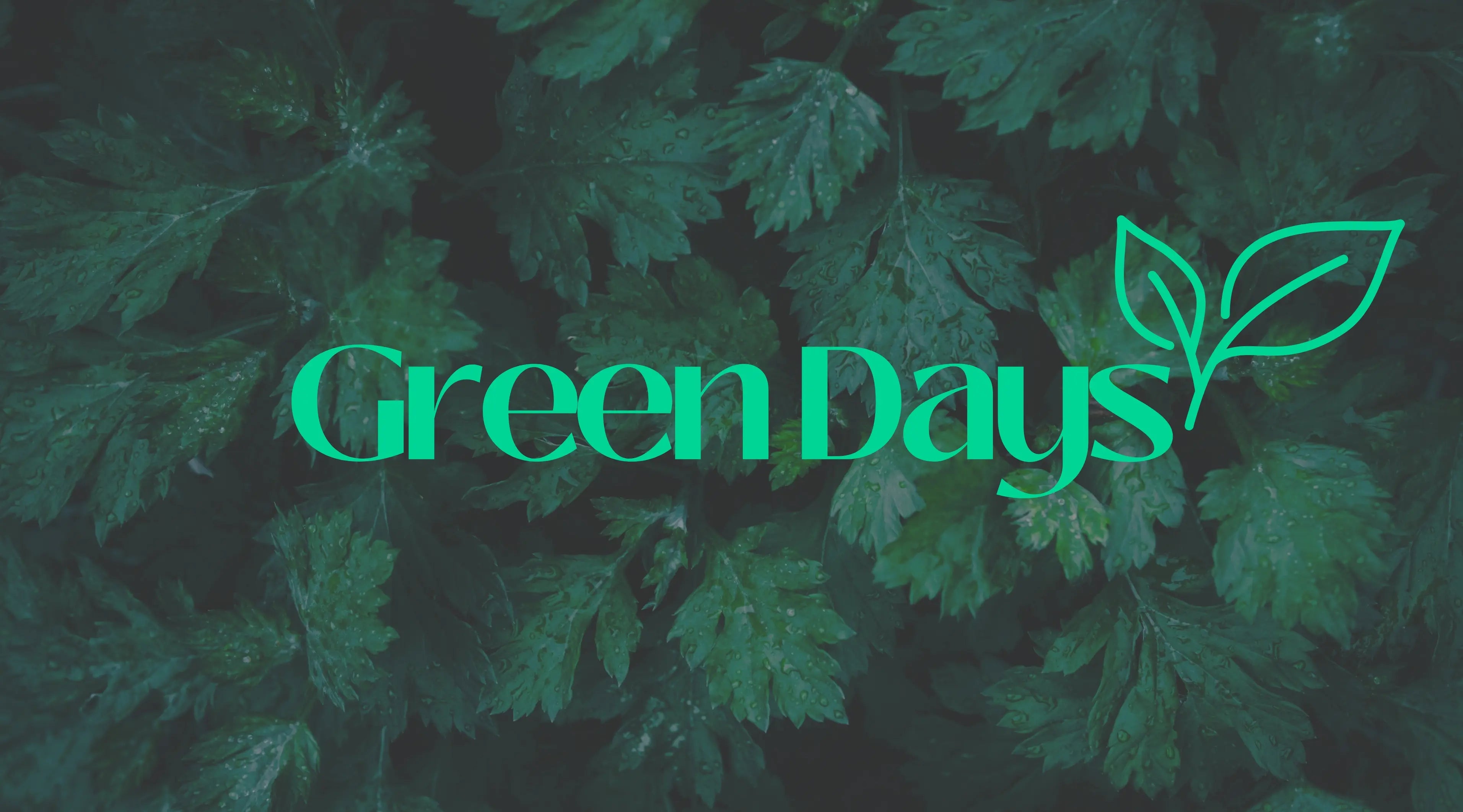 Green Days — Regálate naturaleza, cuidado y conexión